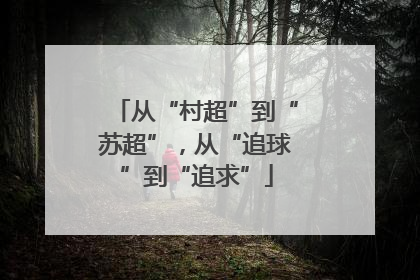 从“村超”到“苏超”，从“追球”到“追求”